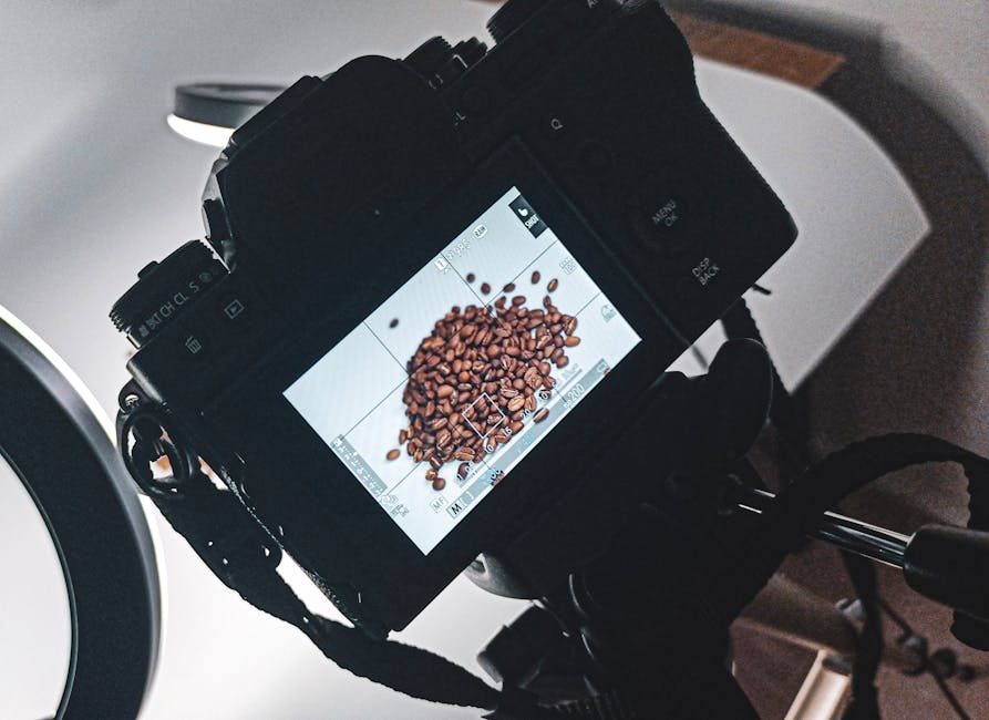 Image of a modern coffee roasting setup with equipment and freshly roasted coffee beans.