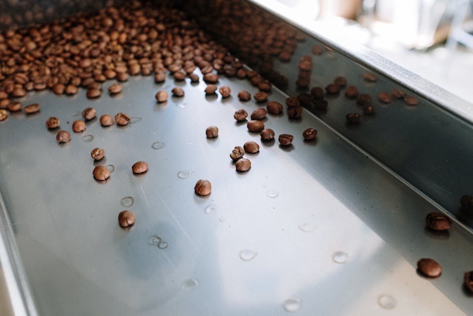 A visually appealing coffee roasting setup with various bean types on display and a sleek roasting machine in action.