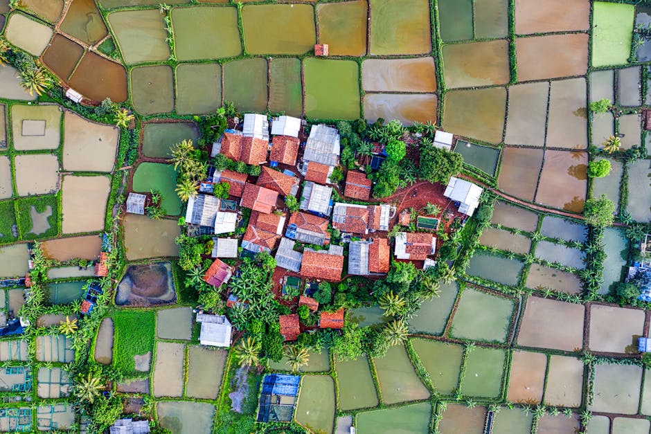An aerial view of a green roof installation showcasing diverse plant life and sustainable architecture