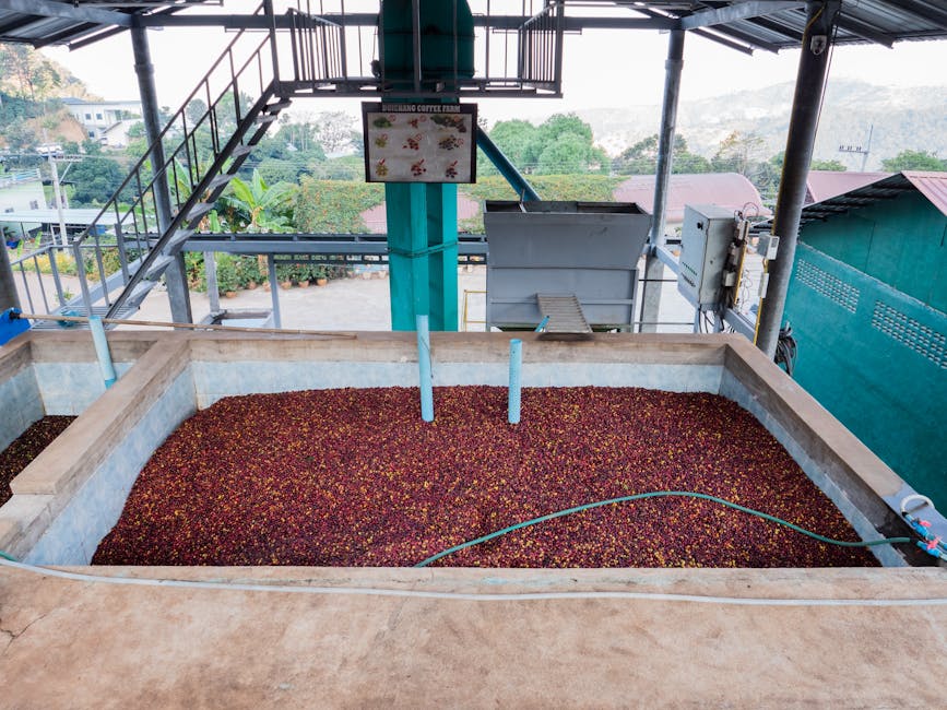 A vibrant, modern coffee roastery showcasing sustainable practices with green plants, high-tech roasting equipment, and diverse coffee beans.