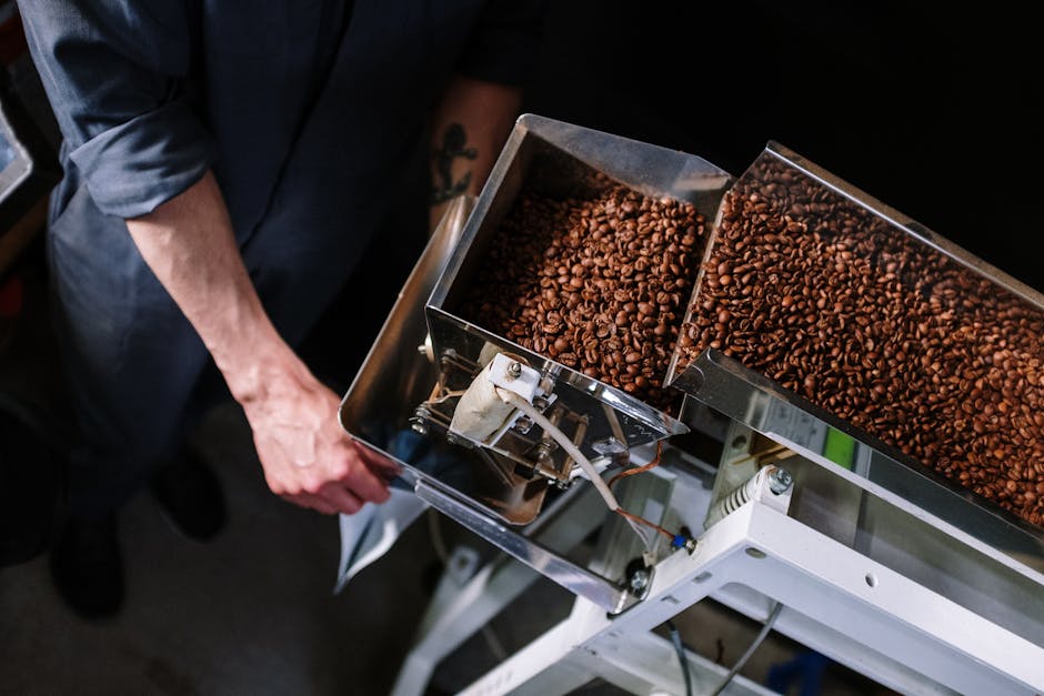 A vibrant coffee roaster manually sorting high-quality beans with lush greenery in the background