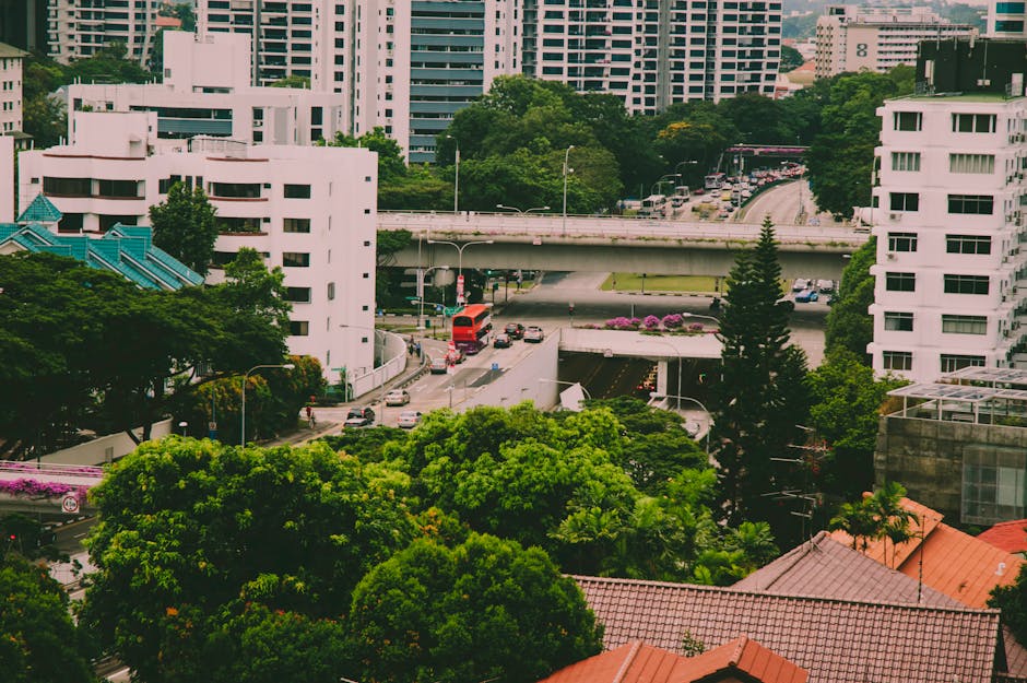 A vibrant urban landscape showcasing green roofs on multiple buildings, with trees and plants visible, creating a lush environment in a city.