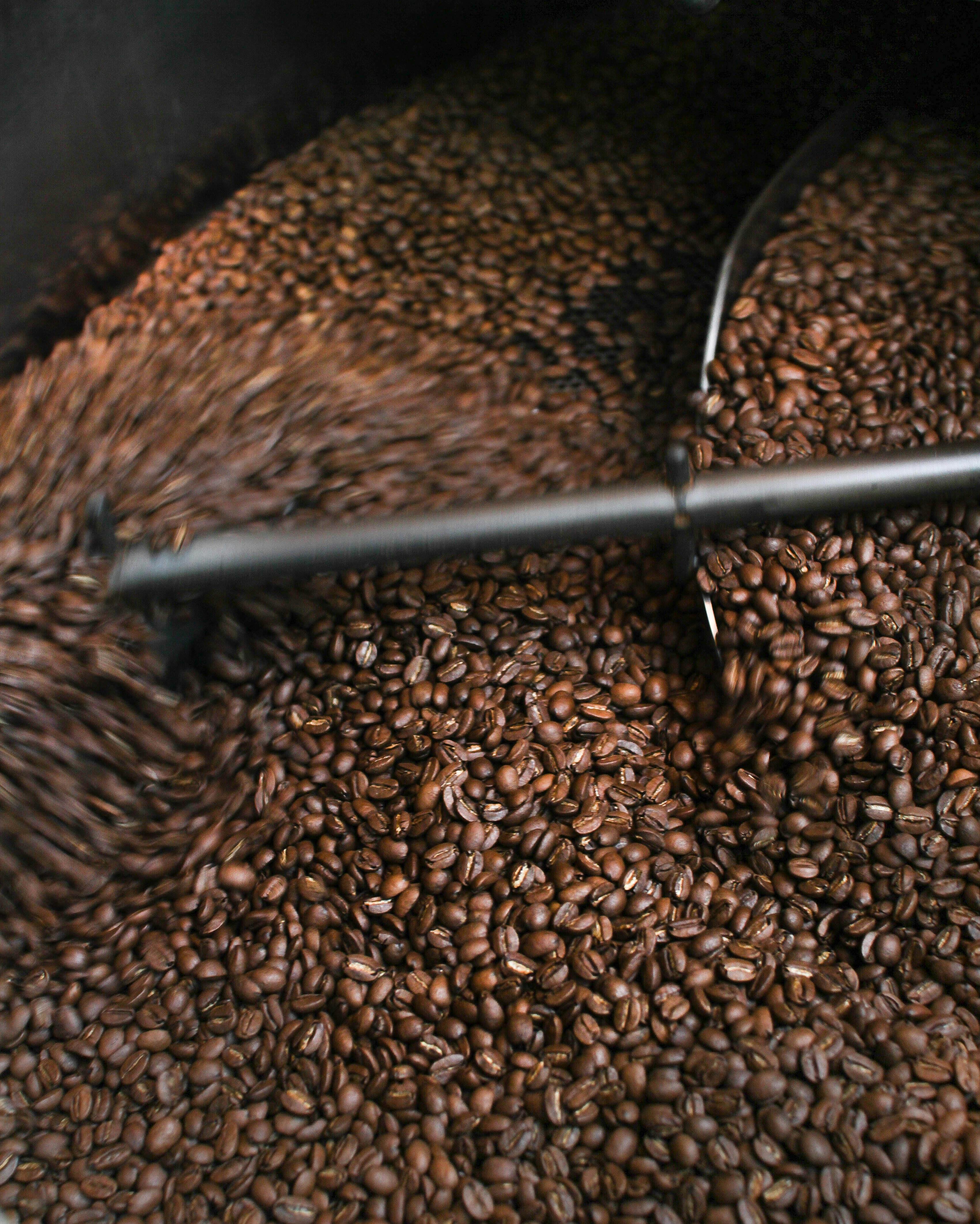 AI receptionist for Coffee Roasting