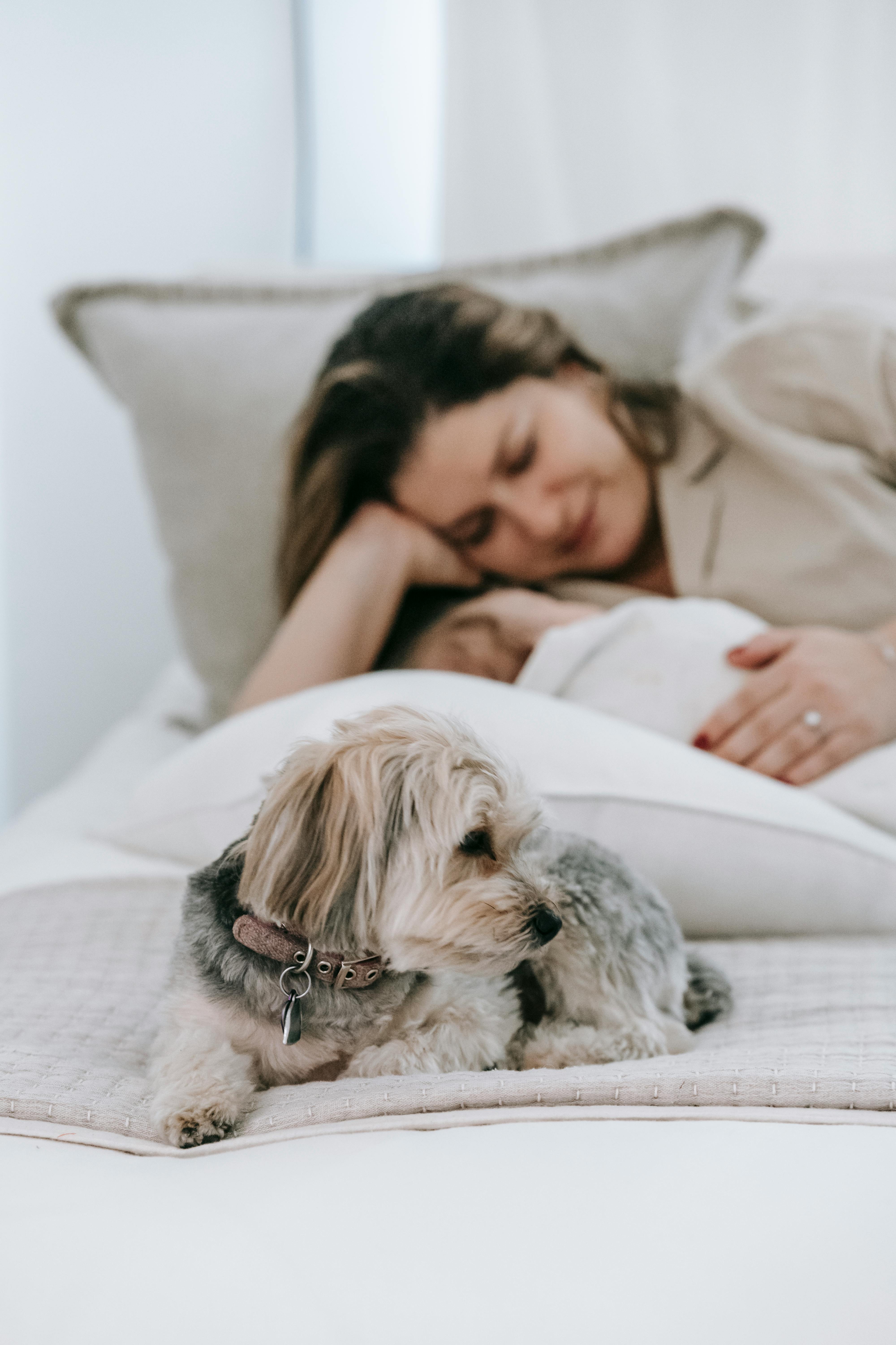 AI receptionist for Dog Daycare