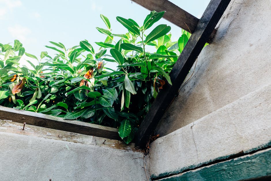 A vibrant green roof on a modern commercial building showcasing the lush, thriving plants and eco-friendly atmosphere.