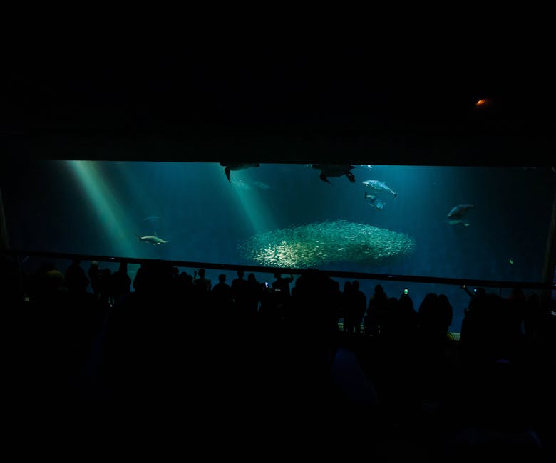 A vibrant, well-maintained aquarium showcasing different aquatic species with a person evaluating its maintenance needs
