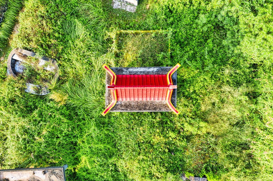 Image of a vibrant green roof installation in progress, highlighting plants and tools being used.