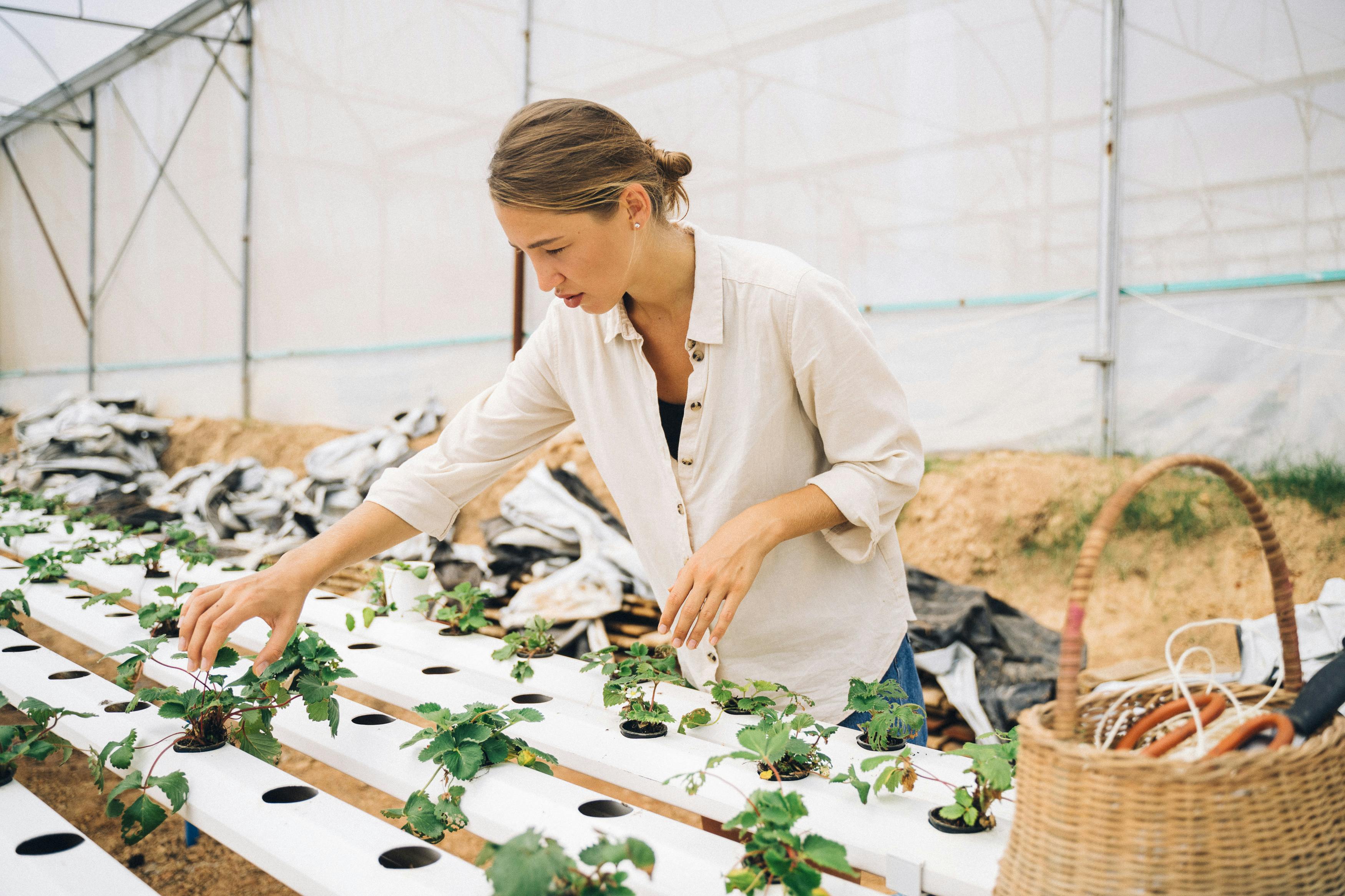 AI receptionist for Hydroponic Farm