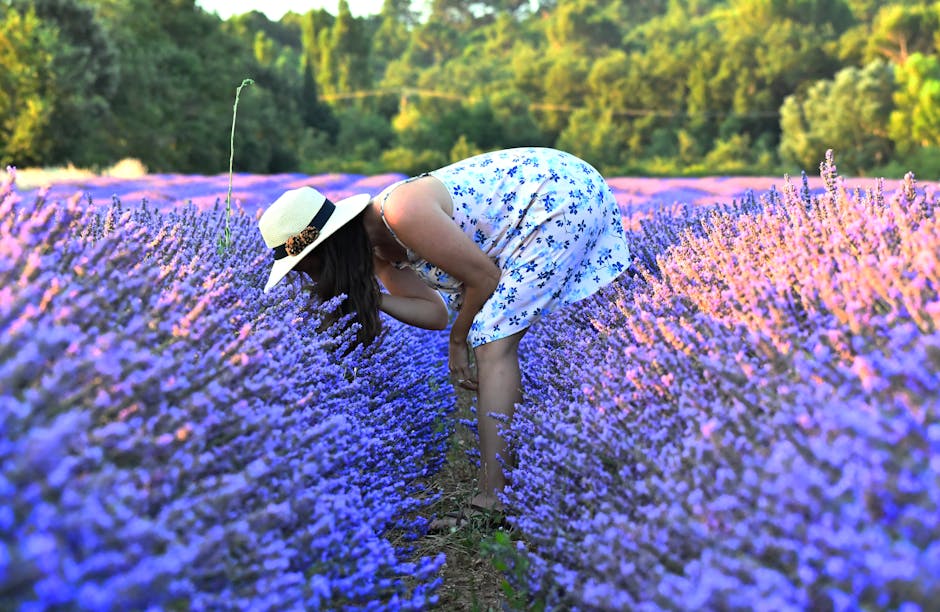An agent enthusiastically speaking on the phone in a vibrant lavender field, surrounded by blooming lavender plants, conveying a sense of joy and connection with potential customers.