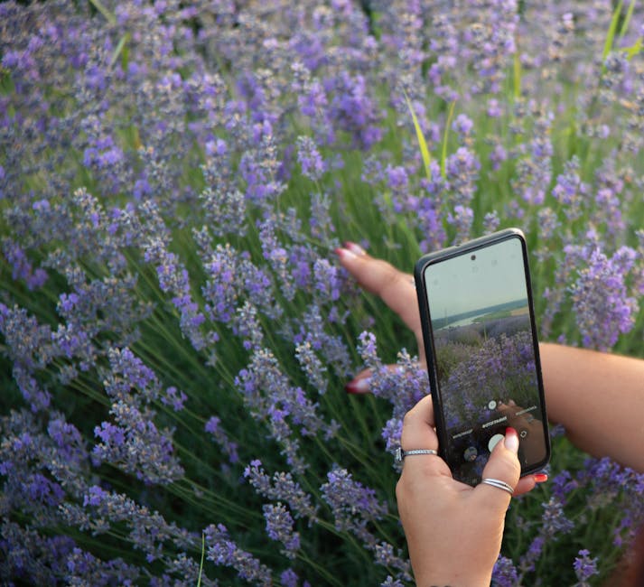 An image of a cheerful phone agent in a lavender field, surrounded by blooming lavender plants, engaging with a customer over the phone.