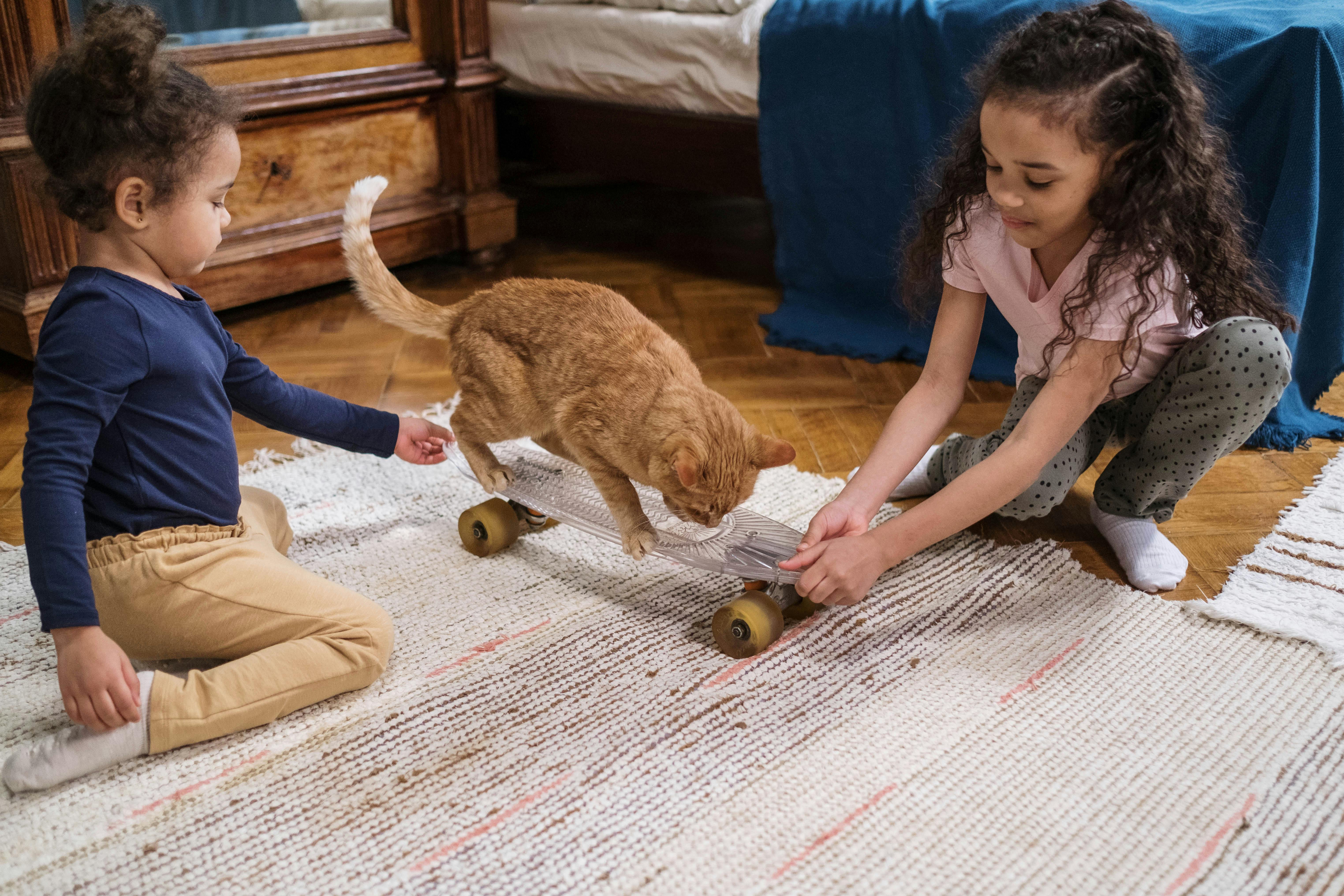 AI receptionist for Pet Boarding