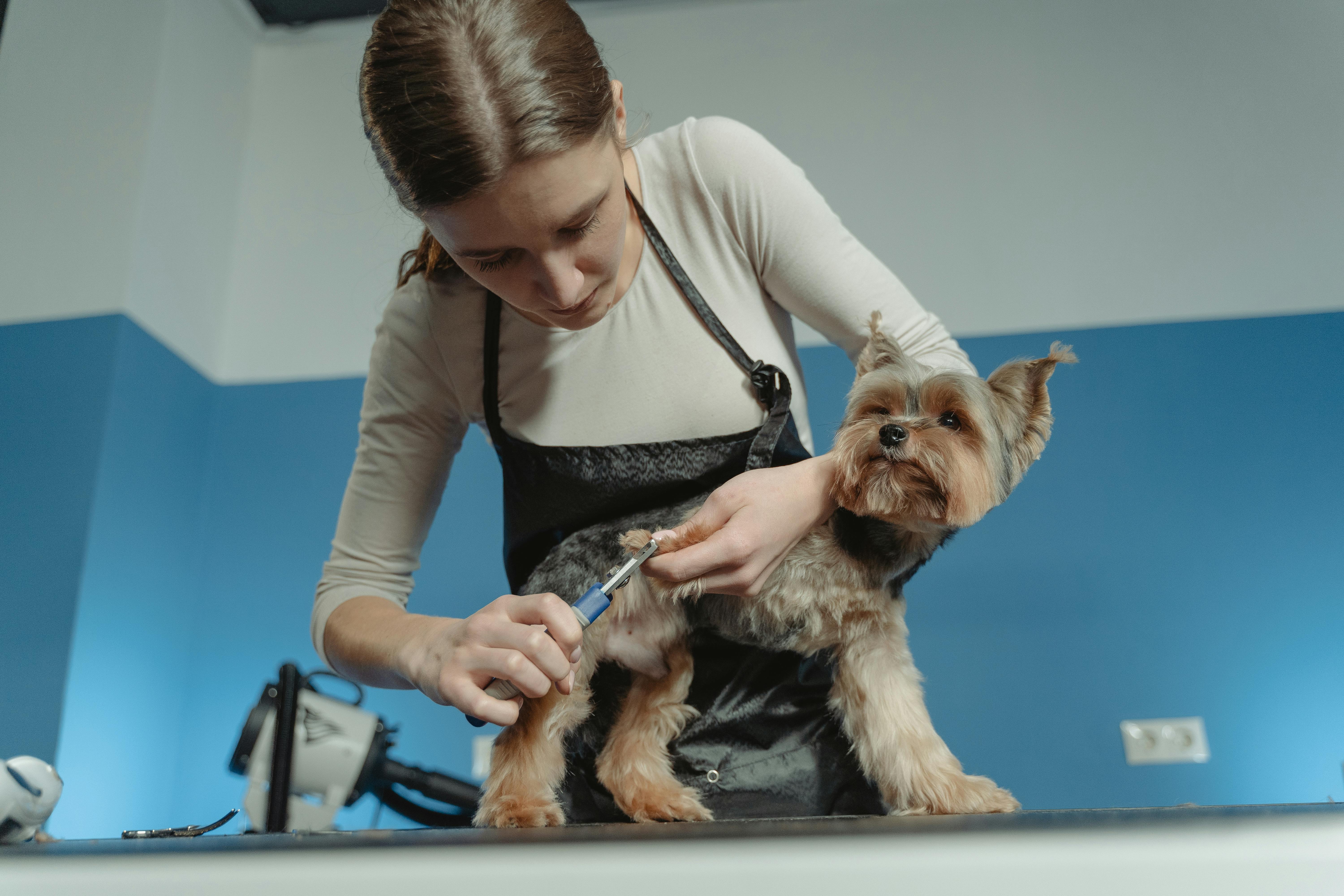 AI receptionist for Pet Services