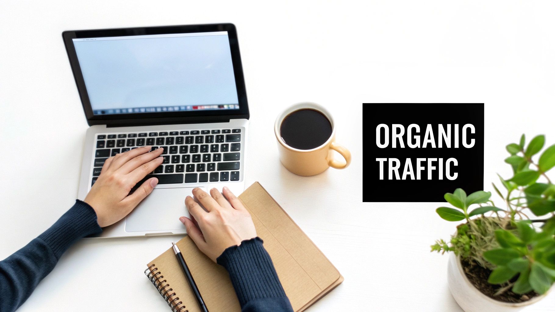 Content Marketing & SEO