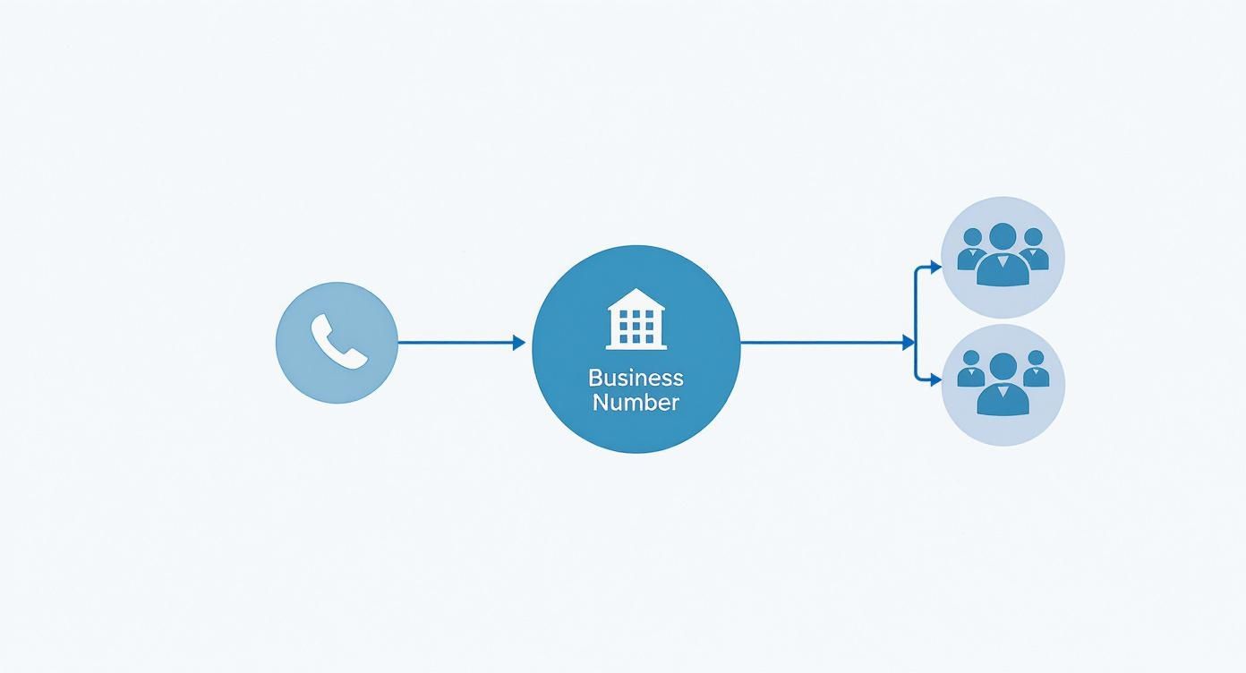 Diagram showing a phone call routed to a business number, then branching out to two groups of employees.