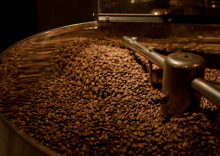 A vibrant roasting facility, showing fresh coffee beans and equipment in action