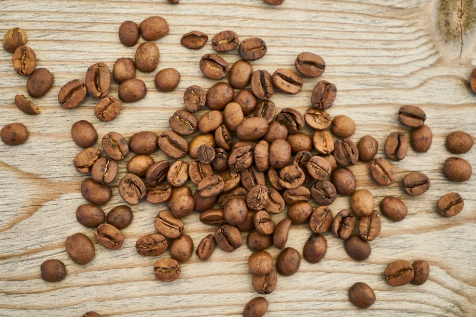 A barista examining roasted coffee beans while discussing sourcing with a farmer