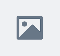 The Company logo