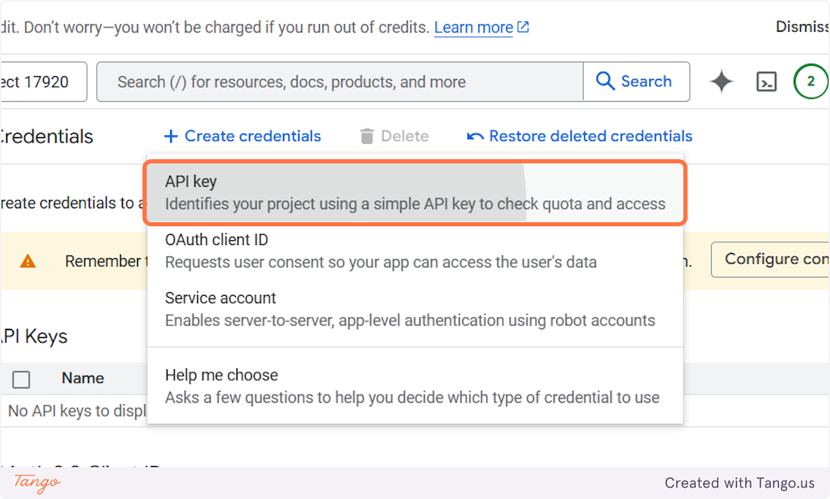 Get the API Key