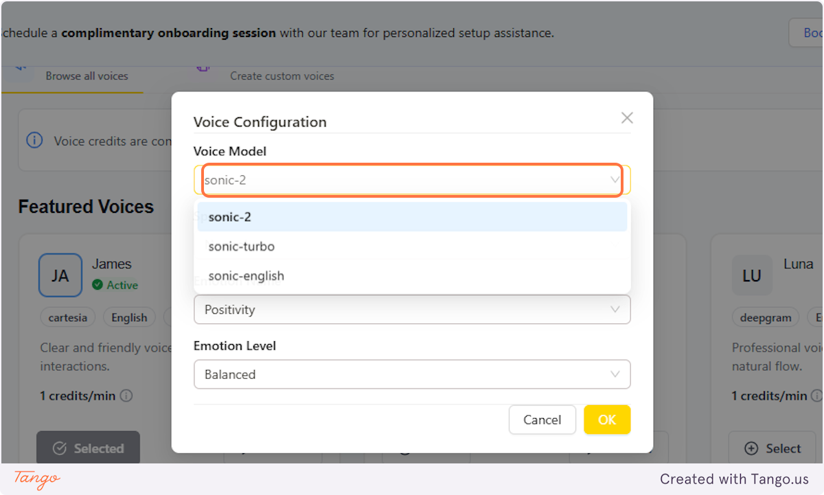 Voice Model